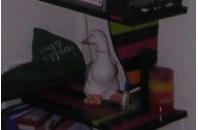 Lors de sa vie à Bordeaux, entre un awalé et un tube de glu